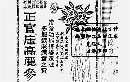 Su-sach-noi-ve-su-hinh-thanh-cua-nhan-sam